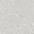 Фото Ragno ceramica плитка Realstone Ceppo Bianco Rett 120x120 (Rcwm)