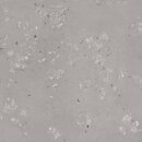 Фото Rako плитка підлогова Castone Ash 120x120 (DAK92857)