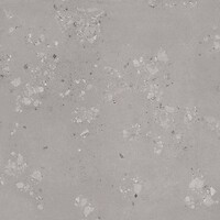 Фото Rako плитка підлогова Castone Ash 120x120 (DAK92857)