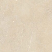 Фото Rako плитка Fly Divine 60x60 (Dak62885)