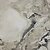 Фото TEO пплитка напольная Picassa White Full Lappato F P Rec 60x60