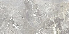 Фото TEO плитка Magnifica Silver F P 60x120