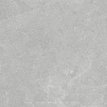 Фото Golden Tile плитка підлогова Terragres Essential сірий 60x60 (ES2580)