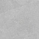 Фото Golden Tile плитка підлогова Terragres Essential сірий 60x60 (ES2583)
