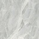 Фото Golden Tile плитка підлогова Silver Roots сірий 60x60 (S92590)