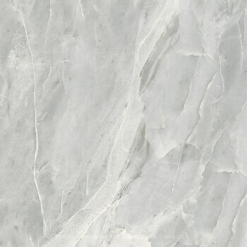 Фото Golden Tile плитка підлогова Silver Roots сірий 60x60 (S92590)