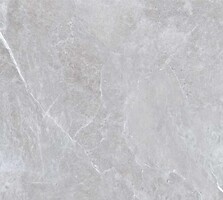 Фото TEO плитка Ariya Silver F P Mat R 120x120