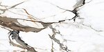 Фото Anka Seramik плитка Himalaya Brown 60x120