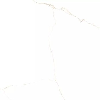 Фото Almera Ceramica плитка Lab. Bianco Mare Gold Poli 120x120