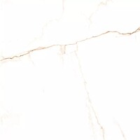 Фото Almera Ceramica плитка Pris.Bianco Mare Gold 90x90