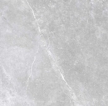 Фото Golden Tile плитка підлогова Terragres Space Stone сірий 60x60 (5V2583)