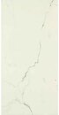 Фото Marazzi плитка Allmarble Statuario Silk 90x90 (MMGW)