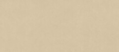 Фото Atlas Concorde плитка Boost Natural Pro Sand Matt 120x278 (AQ9G)
