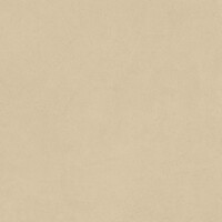 Фото Atlas Concorde плитка Boost Natural Pro Sand Matt 60x60 (AQ9W)