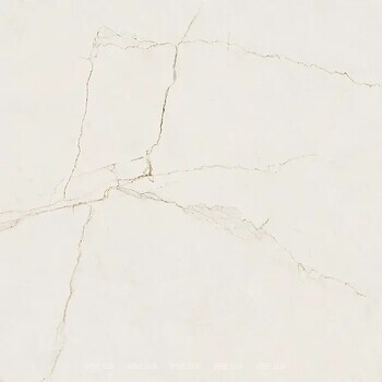 Фото Pamesa плитка Velhira White Pol 120x120
