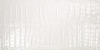 Фото Tubadzin Zien плитка для стін Queensway White 29.8x59.8