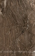 Фото Golden Tile плитка для стін Сакура коричнева 25x40 (В61061)