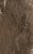Фото Golden Tile плитка настенная Сакура коричневая 25x40 (В61061)