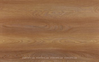 Фото Classen Discovery 4V Дуб Верден медовий (27612)