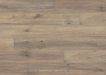 Фото Avatara-Floor City Edition 1691 Oak wild beige C04