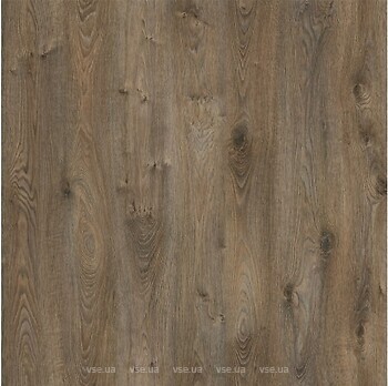 Фото AGT Effect Elegance 10 Pamir (PRK906)