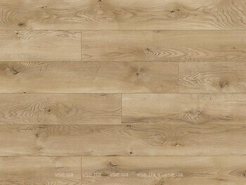 Фото Classen Legend 4V WR Alcanta Oak (66775)