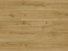 Фото Classen Trend 4V Nebrasca Oak (66703)