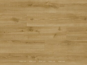Фото Classen Trend 4V Nebrasca Oak (66703)