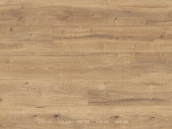 Фото Classen Trend 4V Toronto Oak (66772)