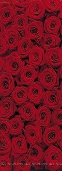 Фото Komar Products Roses 2-1077