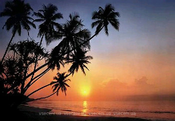 Фото Komar Products Tropical Sunset 8-030