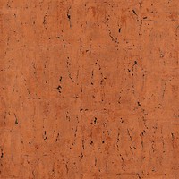 Фото BN International Quartz 16427