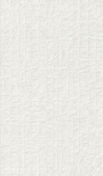 Фото Rasch Passepartout 605525