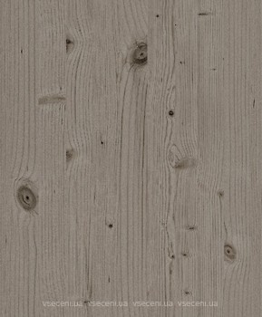 Фото Rasch Passepartout 606270
