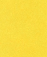 Фото Rasch B.B. Home Passion VI 860177