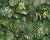 Фото AS Creation Greenery 372802