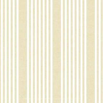 Фото York Stripes Resource Library SR1585