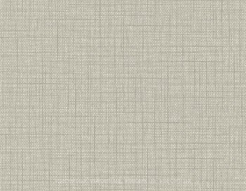 Фото Seabrook Texture Gallery BV30308