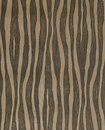 Фото Eijffinger Skin 300553