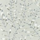 Фото Harlequin Anthozoa 111632