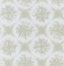 Фото Harlequin Anthozoa 111644