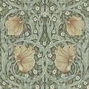 Фото Morris & Co Archive DM6P210388