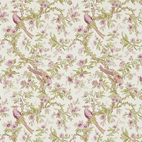 Фото Zoffany Woodville Papers ZWOO311326