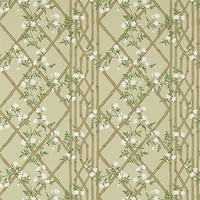 Фото Zoffany Woodville Papers ZWOO311329