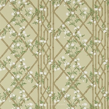 Фото Zoffany Woodville Papers ZWOO311329
