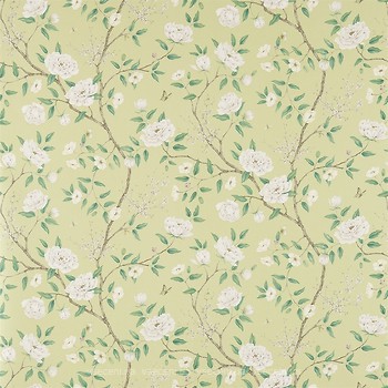 Фото Zoffany Woodville Papers ZWOO311337