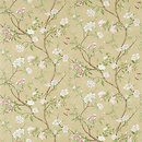 Фото Zoffany Woodville Papers ZWOO311418