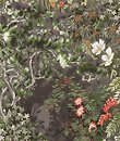 Фото Cole & Son Botanical Botanica 115-4011