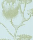 Фото Cole & Son New Contemporary Two 69-3112