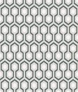 Фото Cole & Son The Contemporary 66-8055